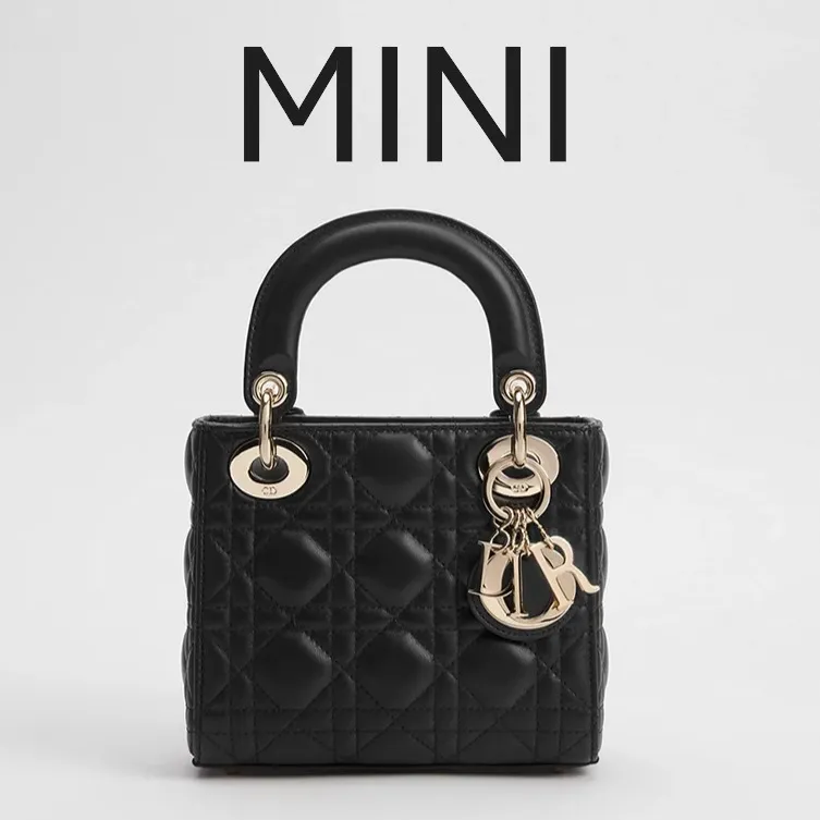 DIOR BAG 0856