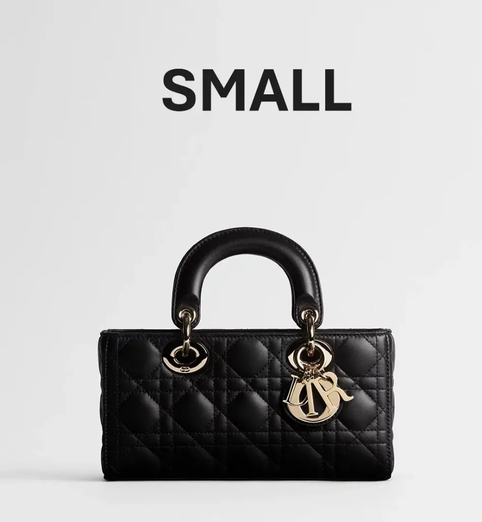 DIOR BAG 0613 Lady D-Joy