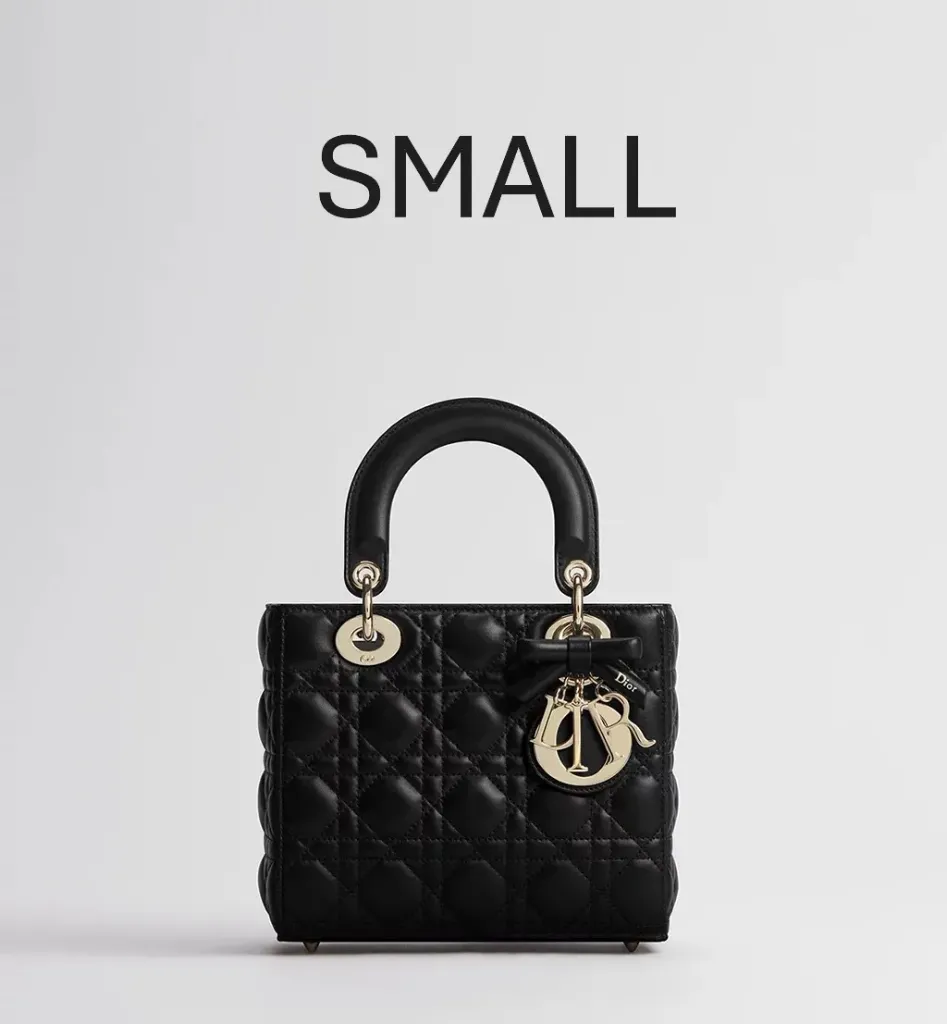 DIOR BAG 0505 Lady Dior (S)