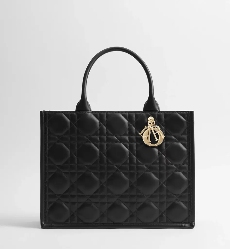 DIOR BAG 1325 Book Tote